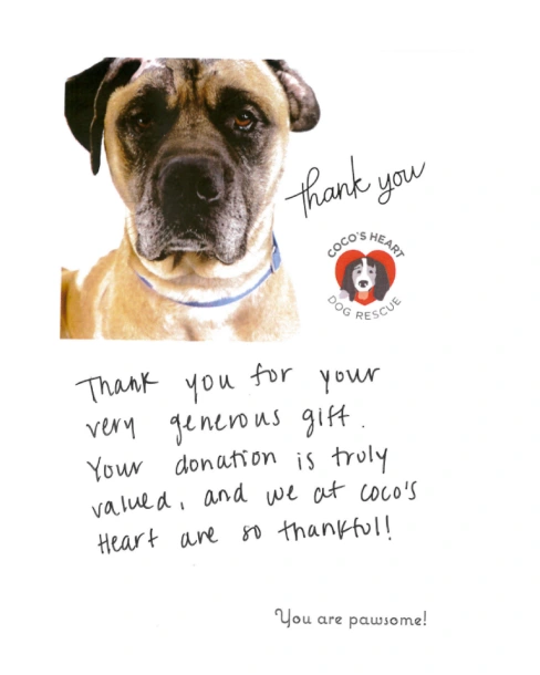 Coco's Heart Thank You Card