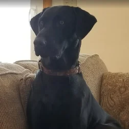 Archer