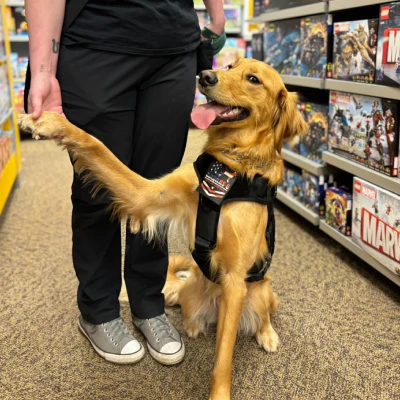 Charity Photo Dog 2